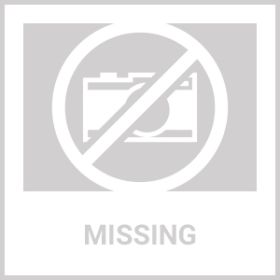 Dog Bowls /Pet Feeding Storage (Option: defaulttitle)